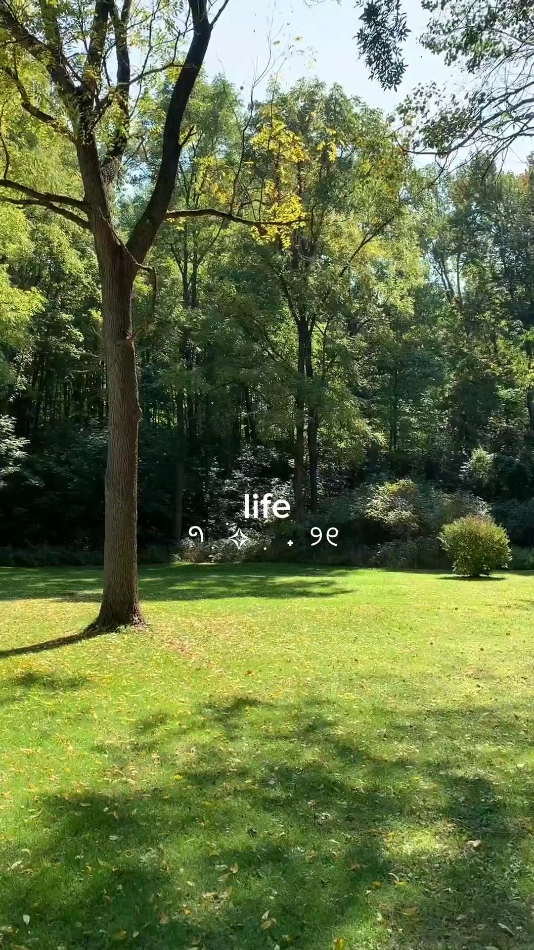 Mini vlog estético 