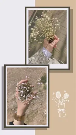 frame