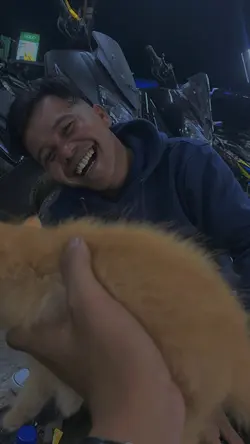 Ulang tahun