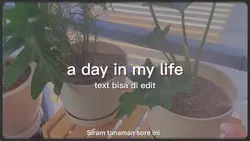Vlog day in my life