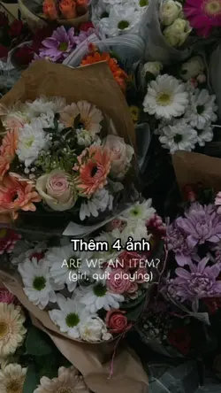 Thêm 4 ảnh