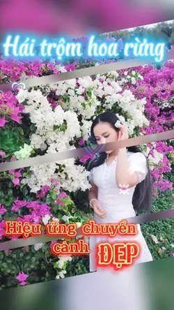 Hái hoa rừng cho em