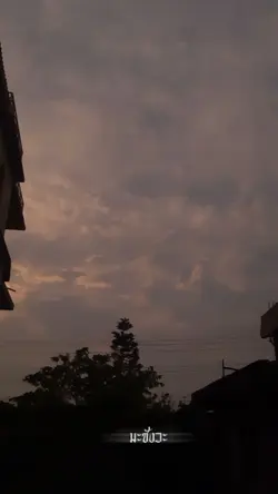 มะซังวะ "เนื้อเพลง"