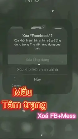 Mẫu xoá FB+Mess