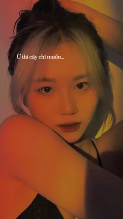 Mẫu lời nhạc 