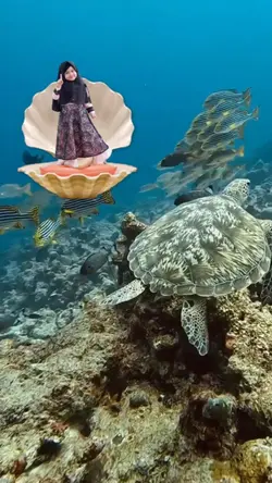 Main Di Laut