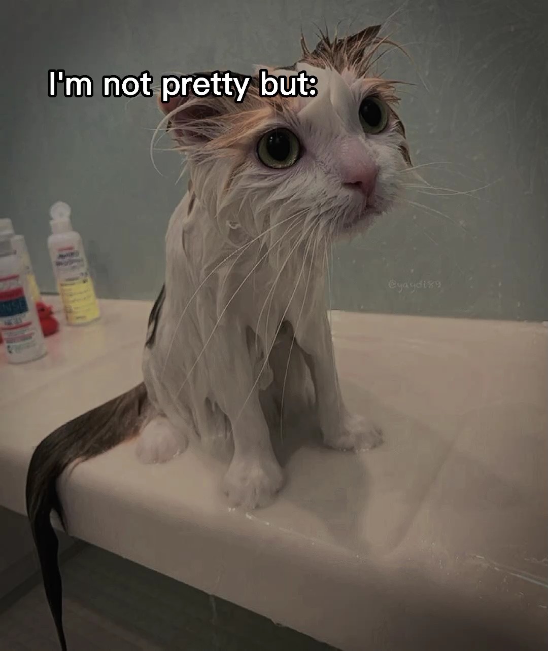 I'm not pretty but 