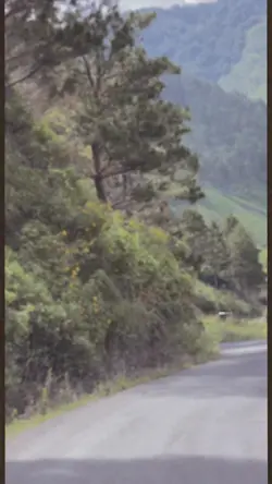 Video 10 detik