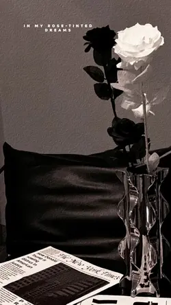black white rose