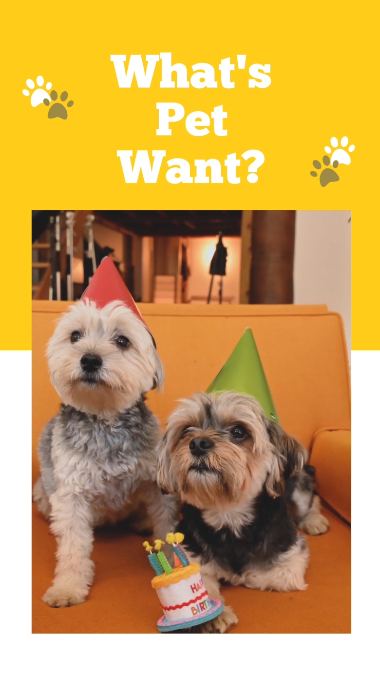 Producto casero para mascotas 