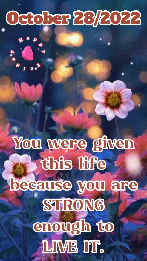 28 de outubro Sexta-feira 