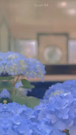 MẪU NHẸ NHÀNG 6 ẢNH