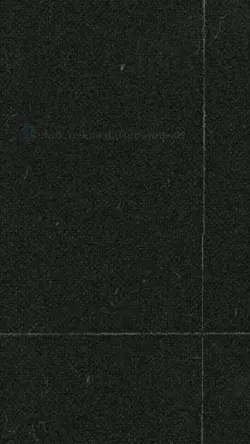 snbp 2023