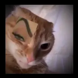 sus handsome/수상한 잘생김