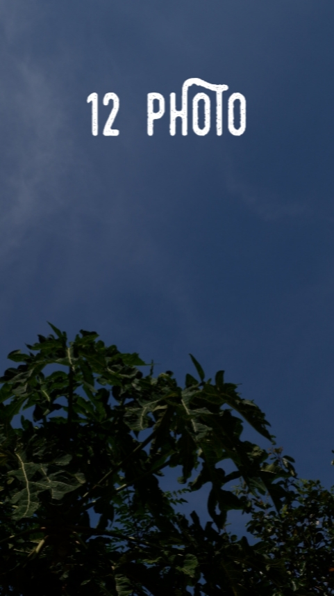 12 LARAWAN 