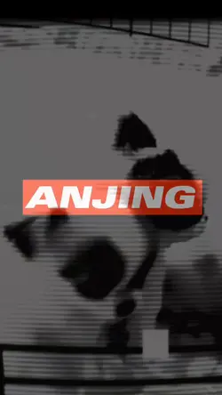 Lirik Video Anjing