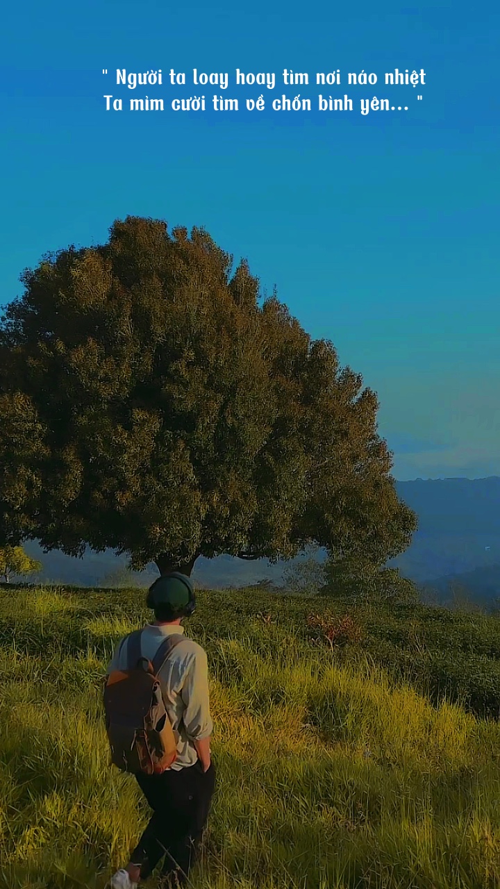 Chill cảnh đp