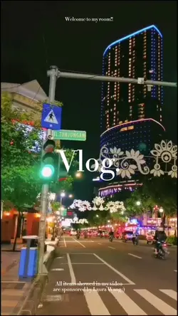 diary vlog