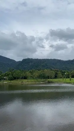Shingiwon dream
