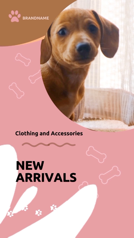 Roupas e acessórios para animais de estimação