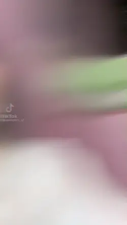 ikaw lamang 