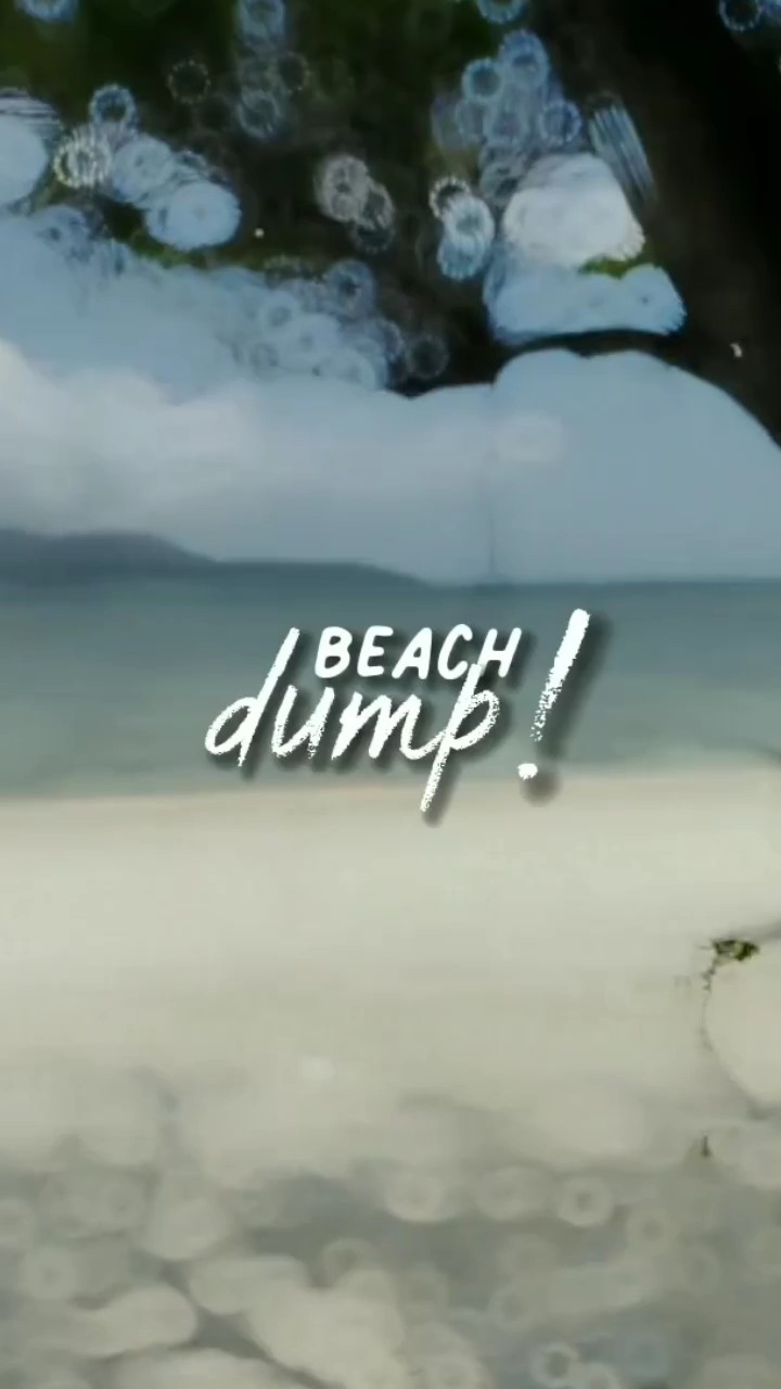 Volcado de playa