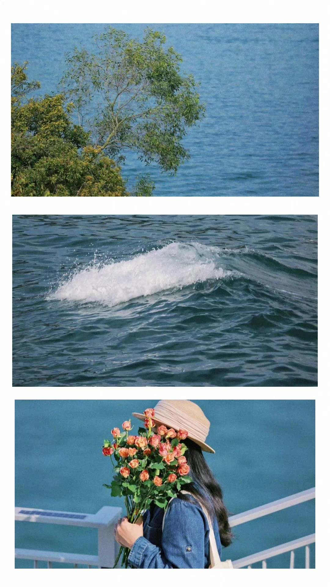 mẫu 3 ảnh