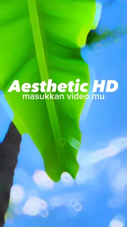 Cinematic Aesthetic 