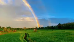 1video+ cảnh chill