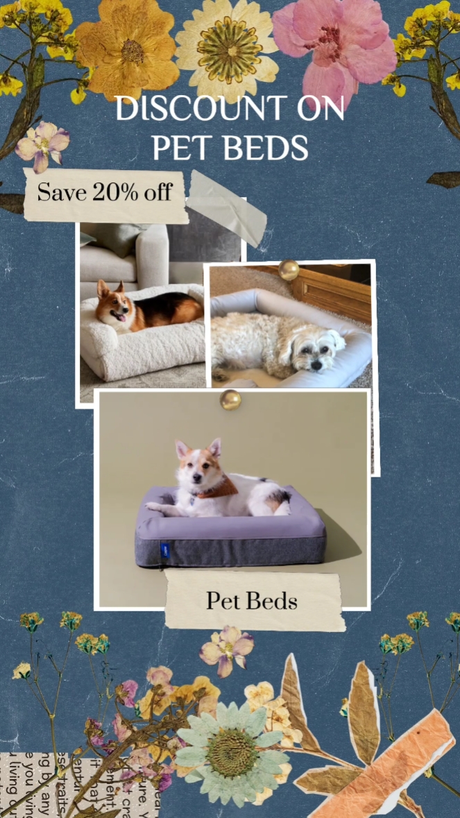 Pet Home Produkte Wochenendverkauf