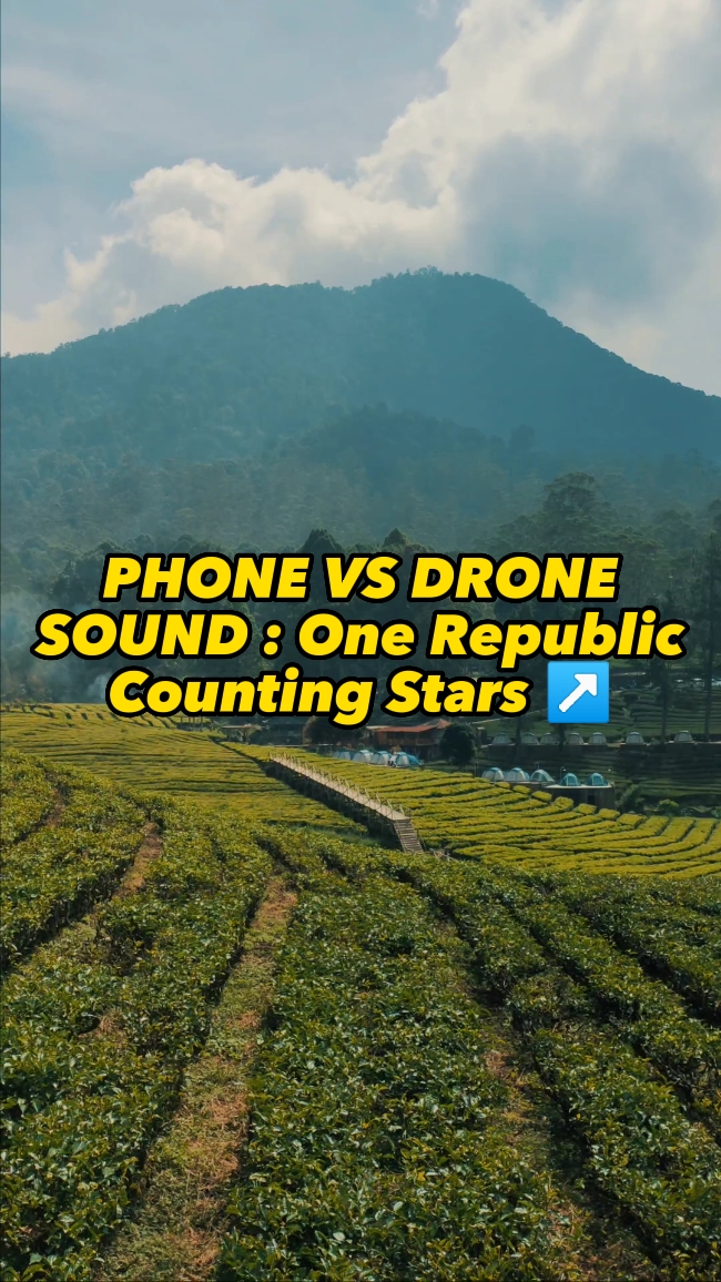 Phone Vs Drone 