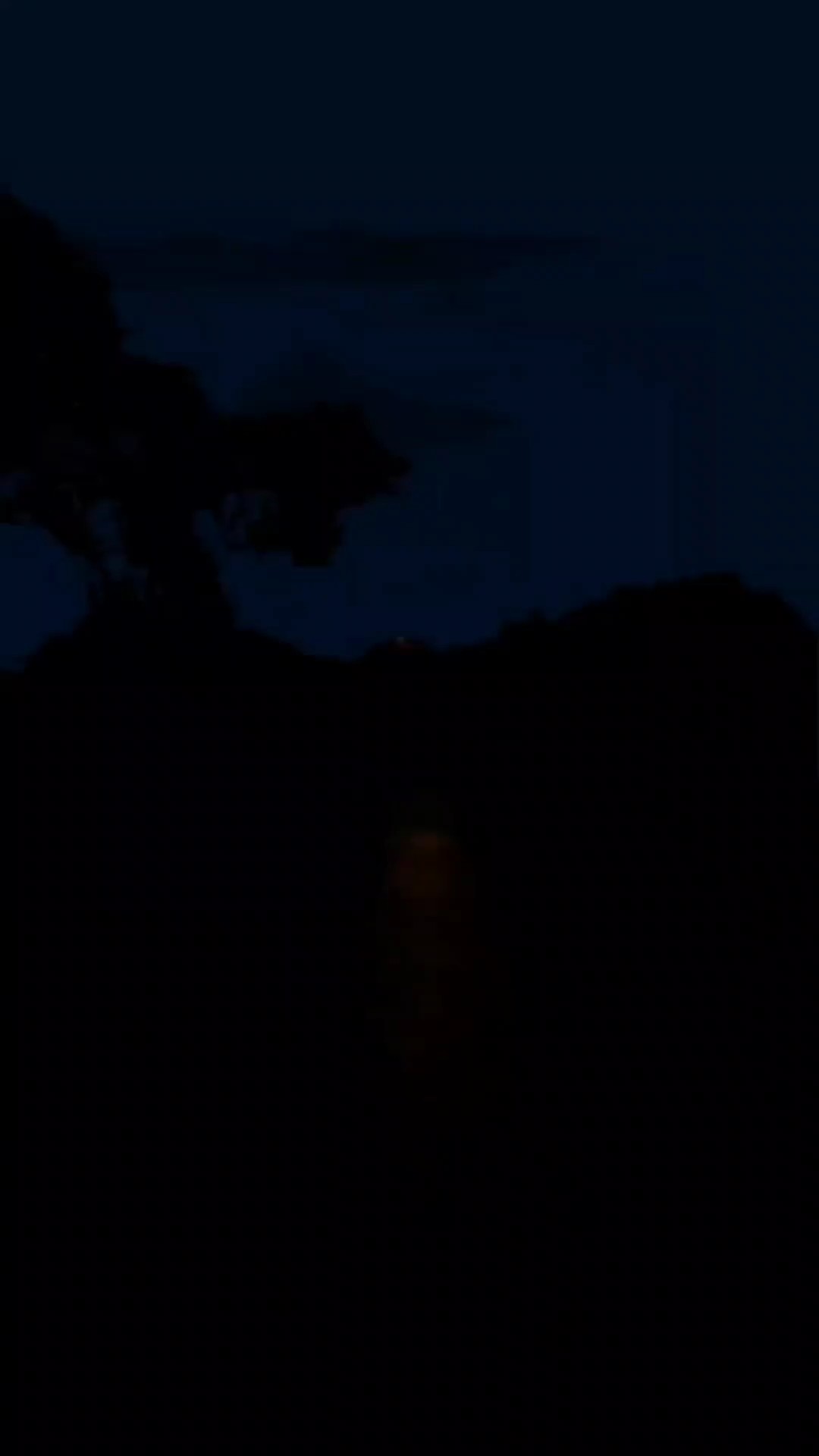 EL CAMINO QUE DIOS 