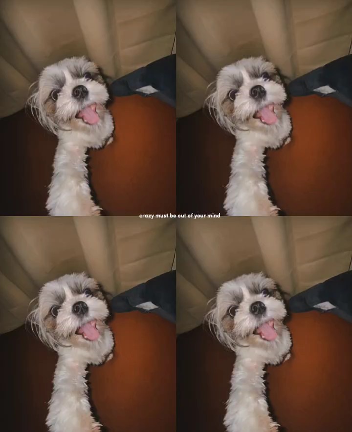 분할