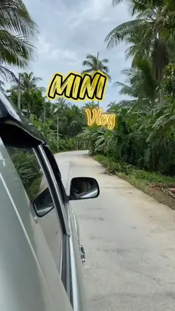 3 videos Mini Vlog