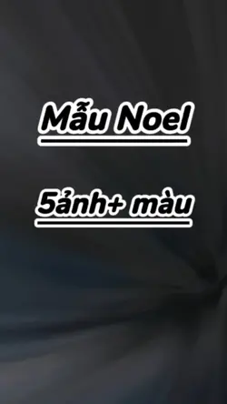MẪU NOEL 