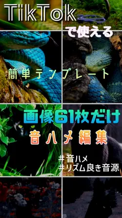 2022年の振り返り｜音ハメ動画
