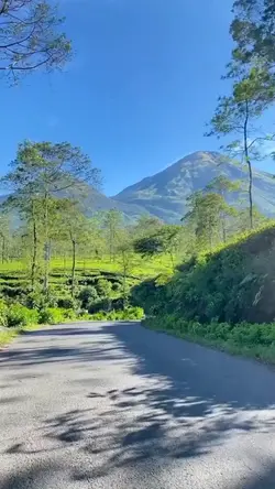 pernahkah kau