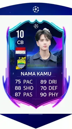 VERSI PERSIB