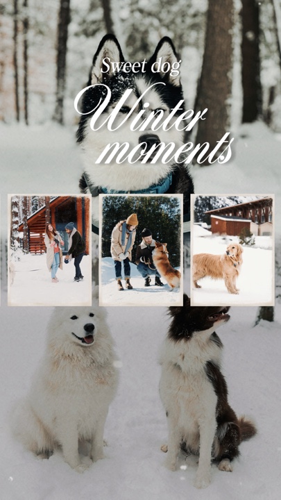 Inverno com cachorros