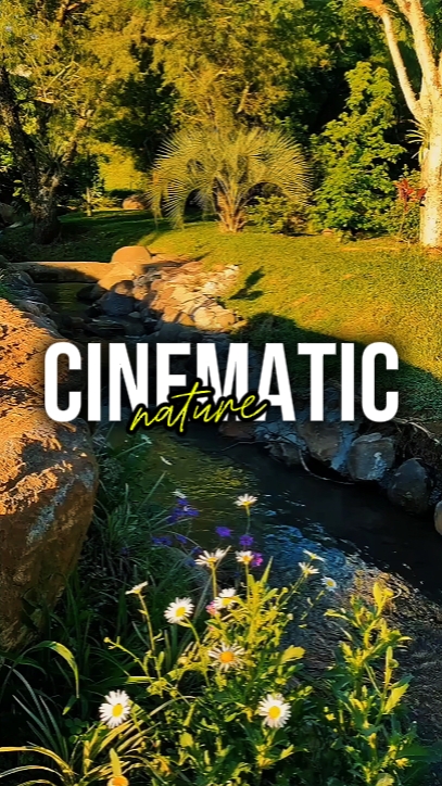 CINEMATIC NATURE