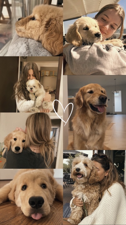 My dog 