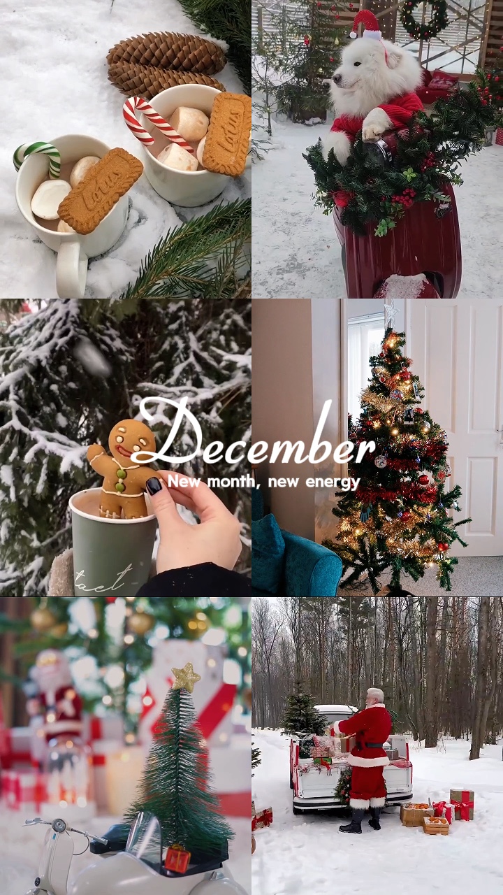 Dezembro 