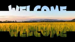 Welcome to
