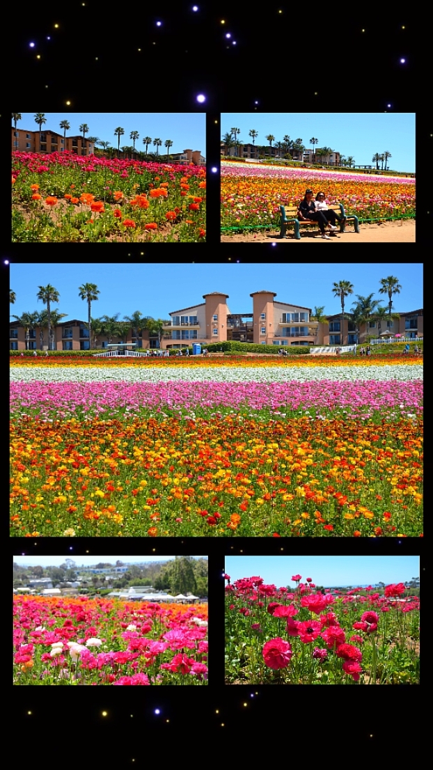 6 photos de paysages