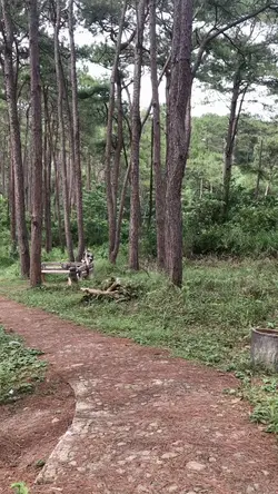 Slow