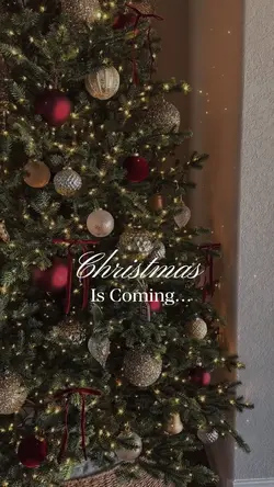 Christmas is coming 
