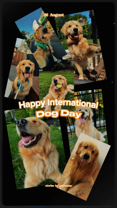 Feliz día del perro