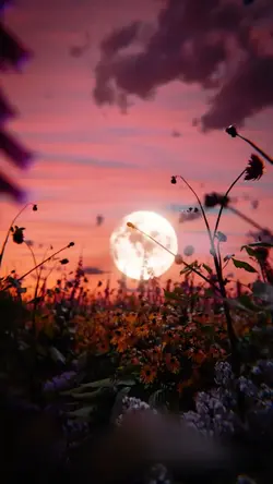 5 pensées positives