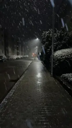 yeni şablon