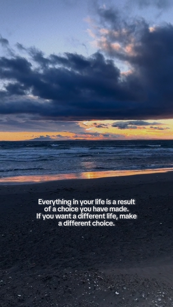 Everything in your
